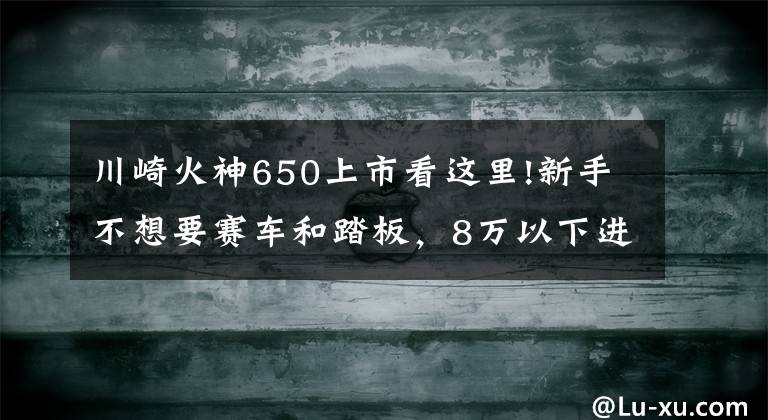 川崎火神650上市看这里!新手不想要赛车和踏板，8万以下进口的，后座平整的摩托有哪些？