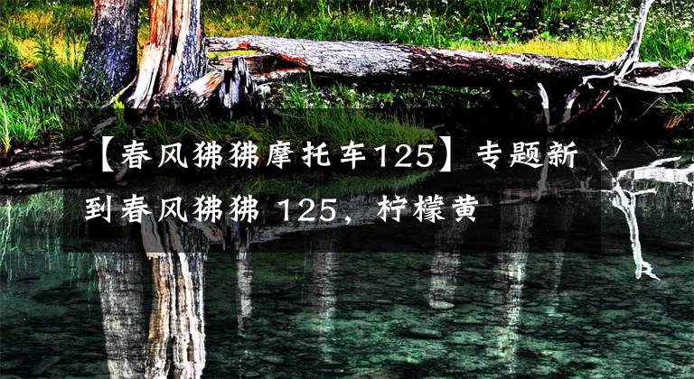 【春风狒狒摩托车125】专题新到春风狒狒 125，柠檬黄