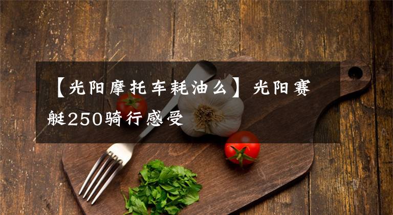 【光阳摩托车耗油么】光阳赛艇250骑行感受