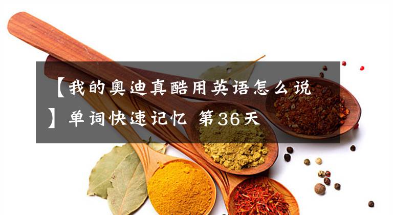 【我的奥迪真酷用英语怎么说】单词快速记忆 第36天