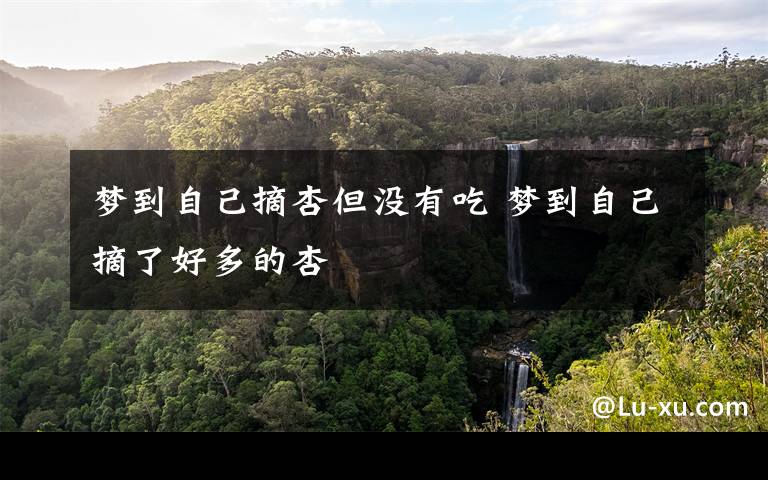 梦到自己摘杏但没有吃 梦到自己摘了好多的杏