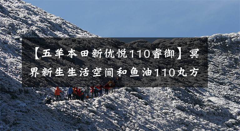 【五羊本田新优悦110睿御】冥界新生生活空间和鱼油110丸方案非常出色