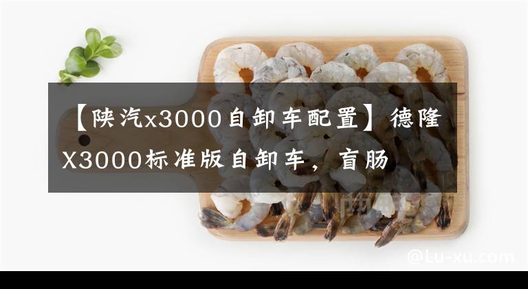 【陕汽x3000自卸车配置】德隆X3000标准版自卸车，盲肠