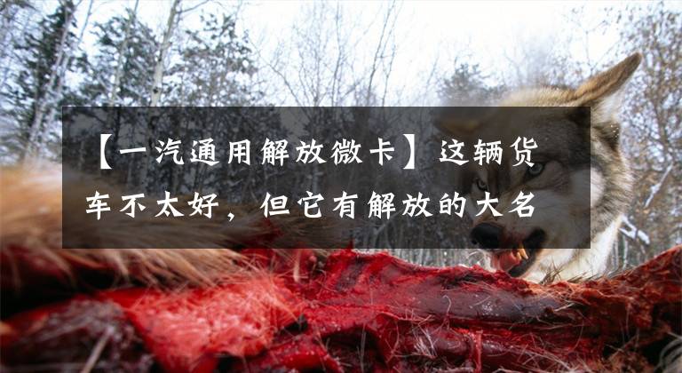 【一汽通用解放微卡】这辆货车不太好，但它有解放的大名