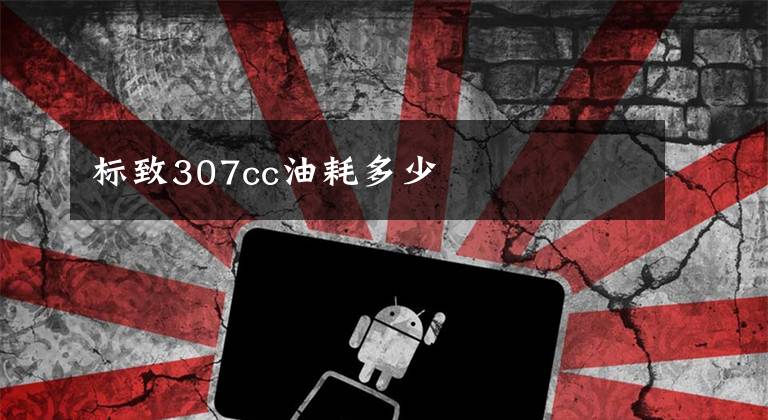 标致307cc油耗多少