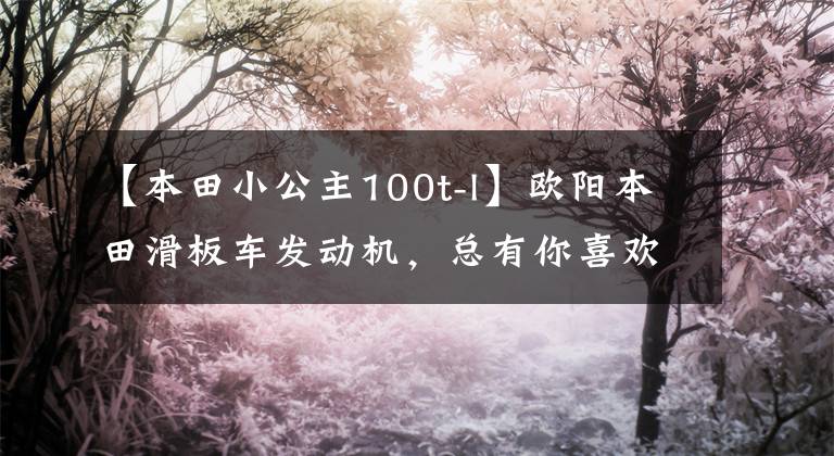 【本田小公主100t-l】欧阳本田滑板车发动机,总有你喜欢的对应车型。