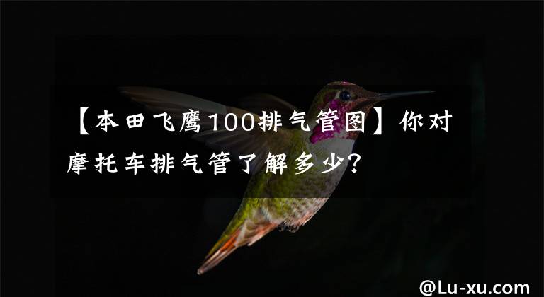 【本田飞鹰100排气管图】你对摩托车排气管了解多少?