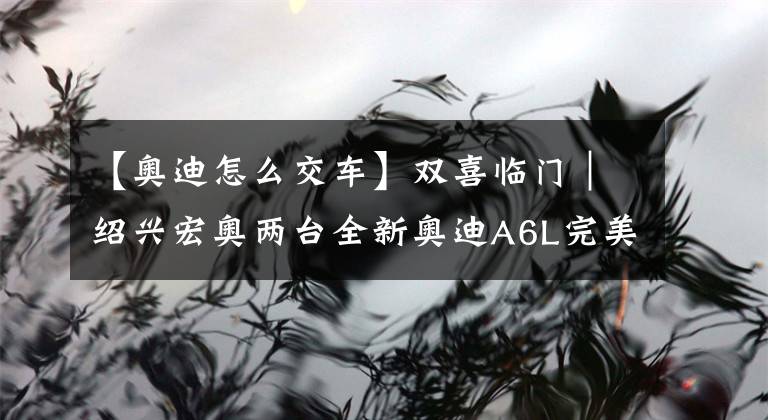 【奥迪怎么交车】双喜临门|绍兴宏奥两台全新奥迪A6L完美交车