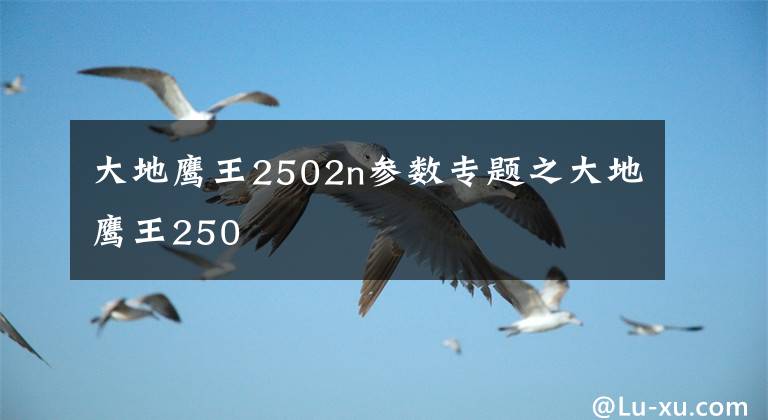 大地鹰王2502n参数专题之大地鹰王250
