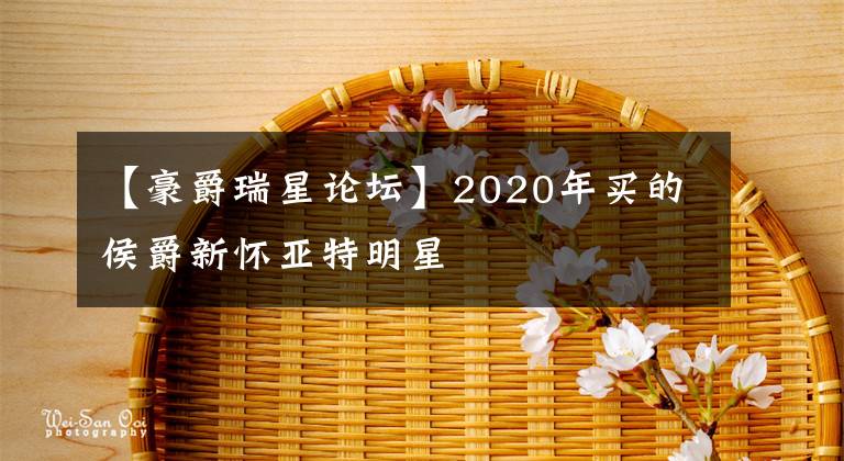 【豪爵瑞星论坛】2020年买的侯爵新怀亚特明星