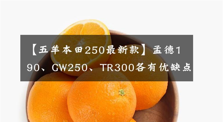 【五羊本田250最新款】孟德190、GW250、TR300各有优缺点，所以有点纠结。您想怎么选？