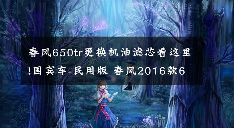 春风650tr更换机油滤芯看这里!国宾车-民用版 春风2016款650TR-G试驾