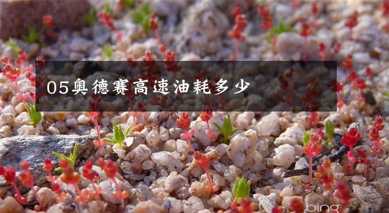 05奥德赛高速油耗多少