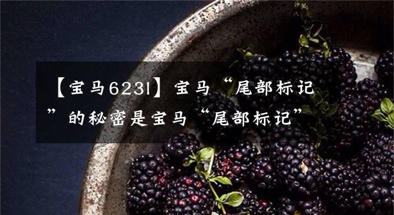 【宝马623l】宝马“尾部标记”的秘密是宝马“尾部标记”的秘密。