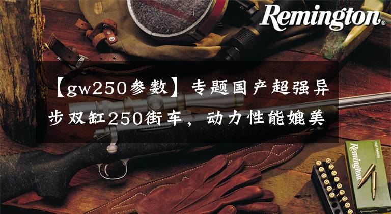 【gw250参数】专题国产超强异步双缸250街车,动力性能媲美合资,却招来一片骂声