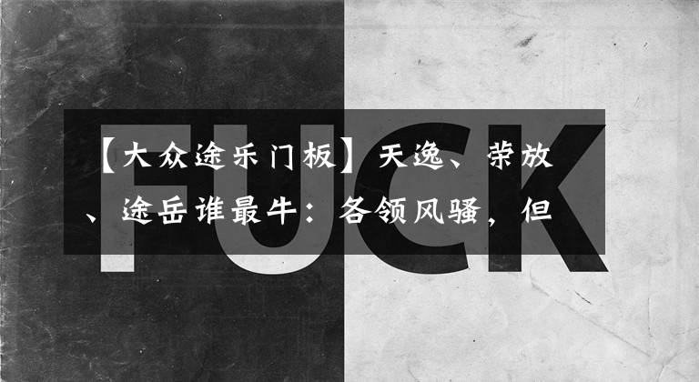【大众途乐门板】天逸、荣放、途岳谁最牛：各领风骚，但又个性不同！年轻选天逸