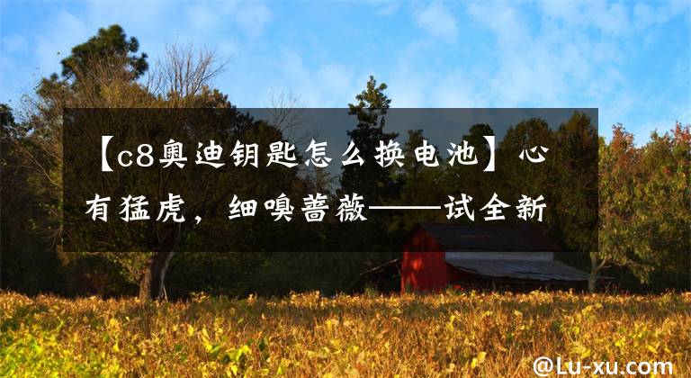 【c8奥迪钥匙怎么换电池】心有猛虎,细嗅蔷薇——试全新奥迪A6L C8