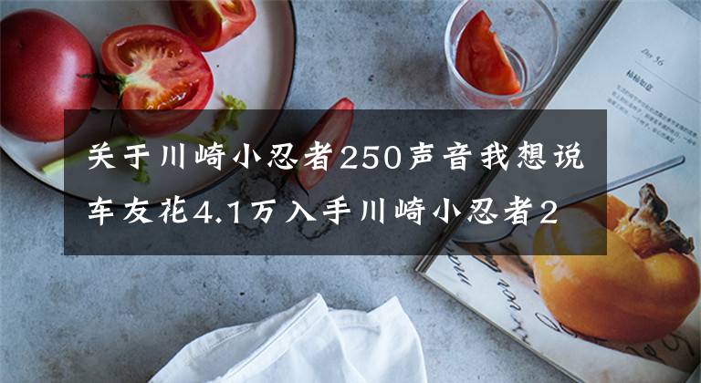 关于川崎小忍者250声音我想说车友花4.1万入手川崎小忍者250,高速给力起速慢,半年后想换车