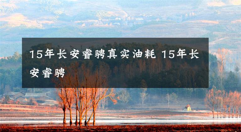 15年长安睿骋真实油耗 15年长安睿骋