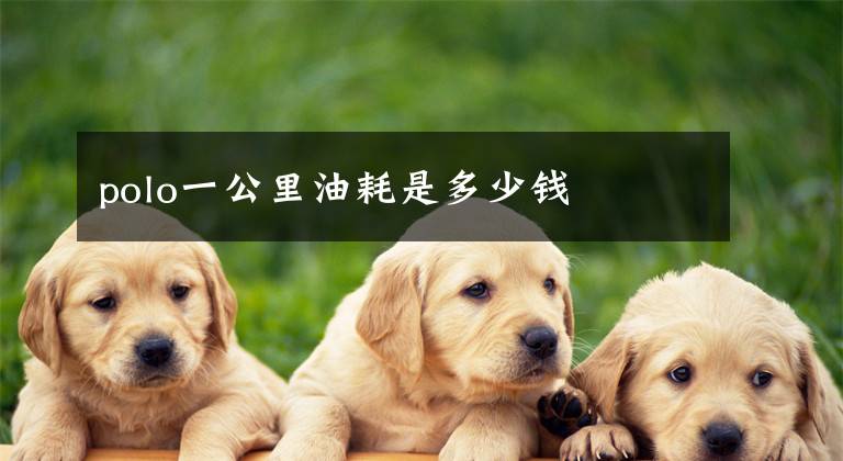 polo一公里油耗是多少钱