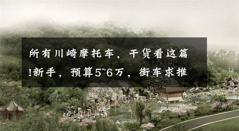 所有川崎摩托车,干货看这篇!新手,预算5~6万,街车求推荐?