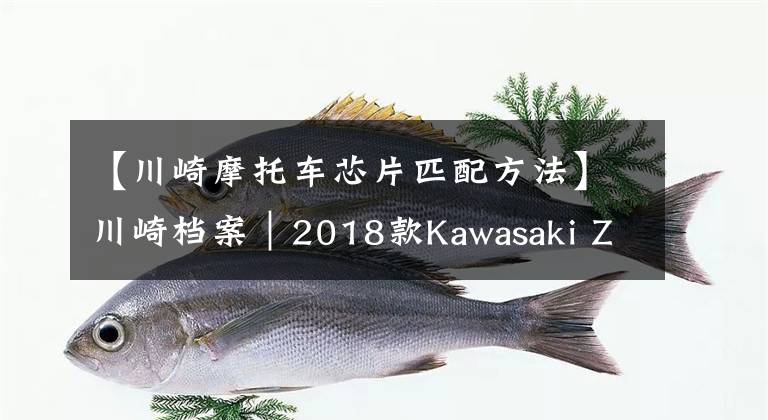 【川崎摩托车芯片匹配方法】川崎档案|2018款Kawasaki ZX-10R SE 电控忍者 详解