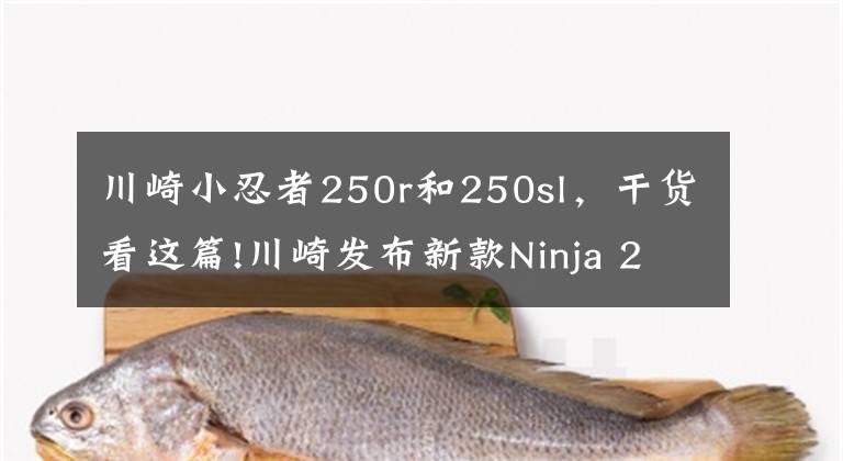川崎小忍者250r和250sl,干货看这篇!川崎发布新款Ninja 250,只不过这次是单缸的SL