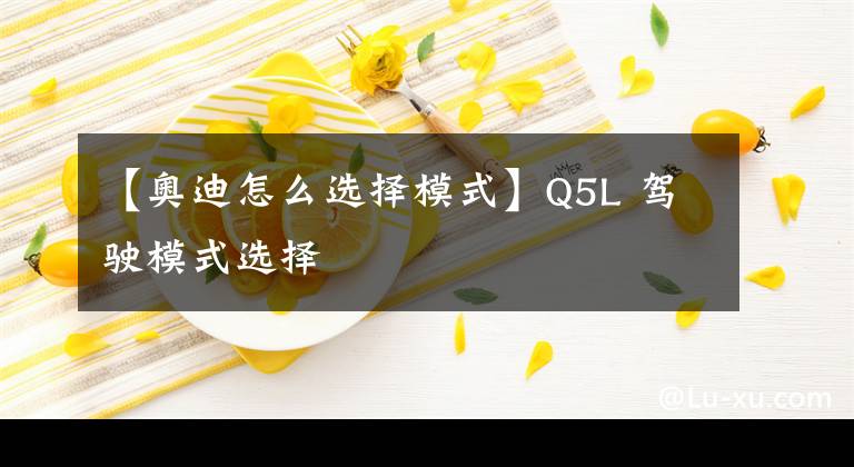 【奥迪怎么选择模式】Q5L 驾驶模式选择