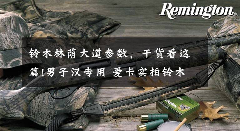 铃木林荫大道参数,干货看这篇!男子汉专用 爱卡实拍铃木林荫大道C50T