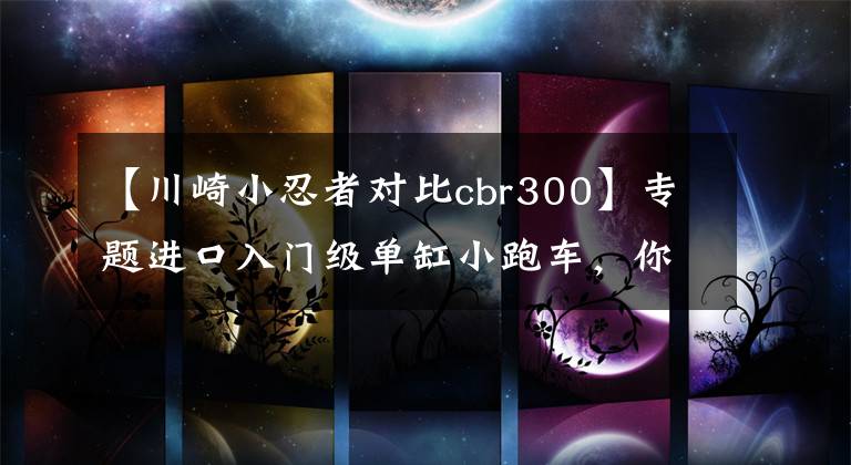 【川崎小忍者对比cbr300】专题进口入门级单缸小跑车,你选谁?