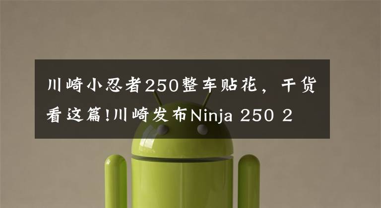 川崎小忍者250整车贴花，干货看这篇!川崎发布Ninja 250 2017款配色