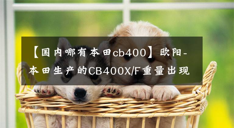 【国内哪有本田cb400】欧阳-本田生产的CB400X/F重量出现在上海国际车展上,预计售价将更新