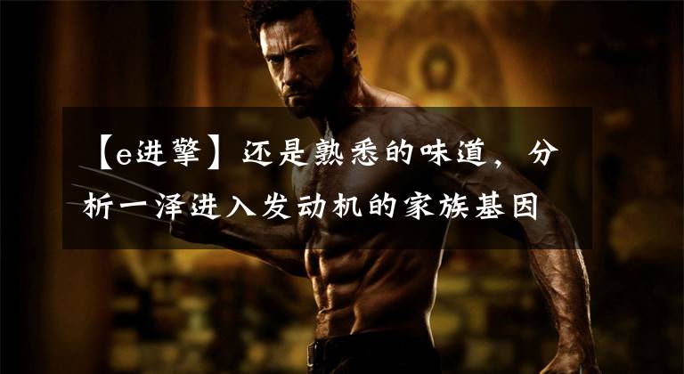 【e进擎】还是熟悉的味道,分析一泽进入发动机的家族基因。
