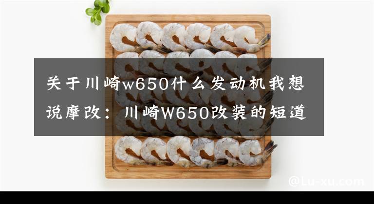 关于川崎w650什么发动机我想说摩改：川崎W650改装的短道加速比赛用车