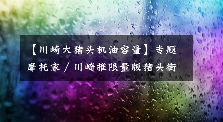 【川崎大猪头机油容量】专题摩托家/川崎推限量版猪头街车ZRX1200 DAEG