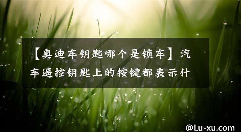 【奥迪车钥匙哪个是锁车】汽车遥控钥匙上的按键都表示什么意思?如何使用?