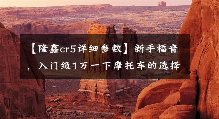 【隆鑫cr5详细参数】新手福音,入门级1万一下摩托车的选择!