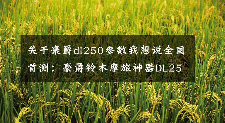 关于豪爵dl250参数我想说全国首测:豪爵铃木摩旅神器DL250(体验报告+售价公布)