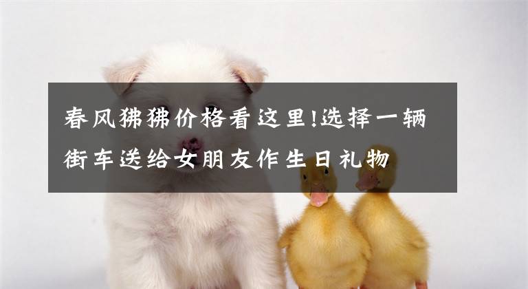 春风狒狒价格看这里!选择一辆街车送给女朋友作生日礼物