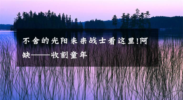 不舍的光阳未来战士看这里!阿缺——收割童年