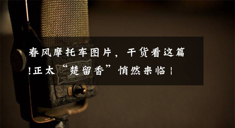 春风摩托车图片,干货看这篇!正太“楚留香”悄然来临 | 春风摩托CLX250售价官宣,18980元