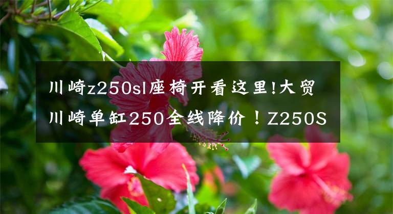 川崎z250sl座椅开看这里!大贸川崎单缸250全线降价！Z250SL跌破三万！