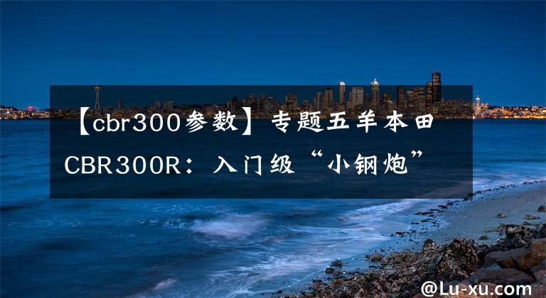 【cbr300参数】专题五羊本田CBR300R:入门级“小钢炮”