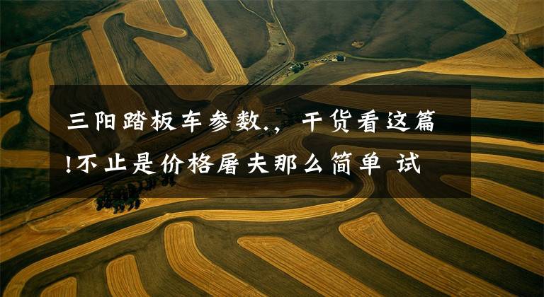 三阳踏板车参数.，干货看这篇!不止是价格屠夫那么简单 试驾三阳MAXSYM TL