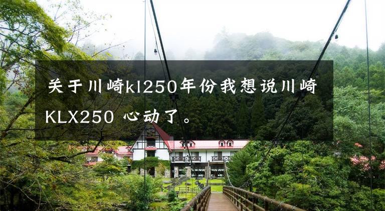关于川崎kl250年份我想说川崎KLX250 心动了。