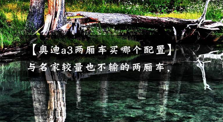 【奥迪a3两厢车买哪个配置】与名家较量也不输的两厢车,DS 4S对比奥迪A3