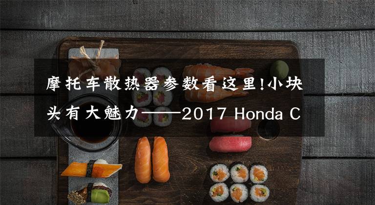 摩托车散热器参数看这里!小块头有大魅力——2017 Honda CRF250L Rally