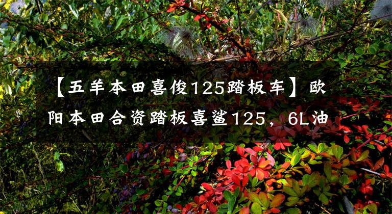【五羊本田喜俊125踏板车】欧阳本田合资踏板喜鲨125,6L油箱,皮带传动,新品6580韩元