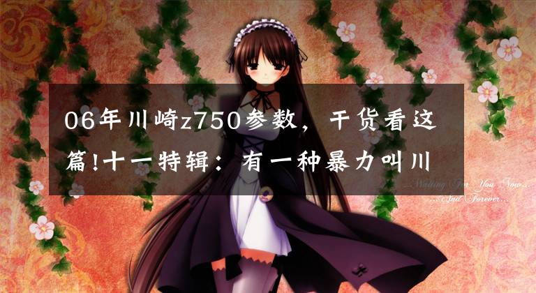 06年川崎z750参数,干货看这篇!十一特辑:有一种暴力叫川崎——最全川崎历史车型介绍(3)