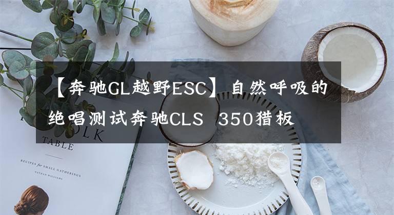【奔驰GL越野ESC】自然呼吸的绝唱测试奔驰CLS 350猎板